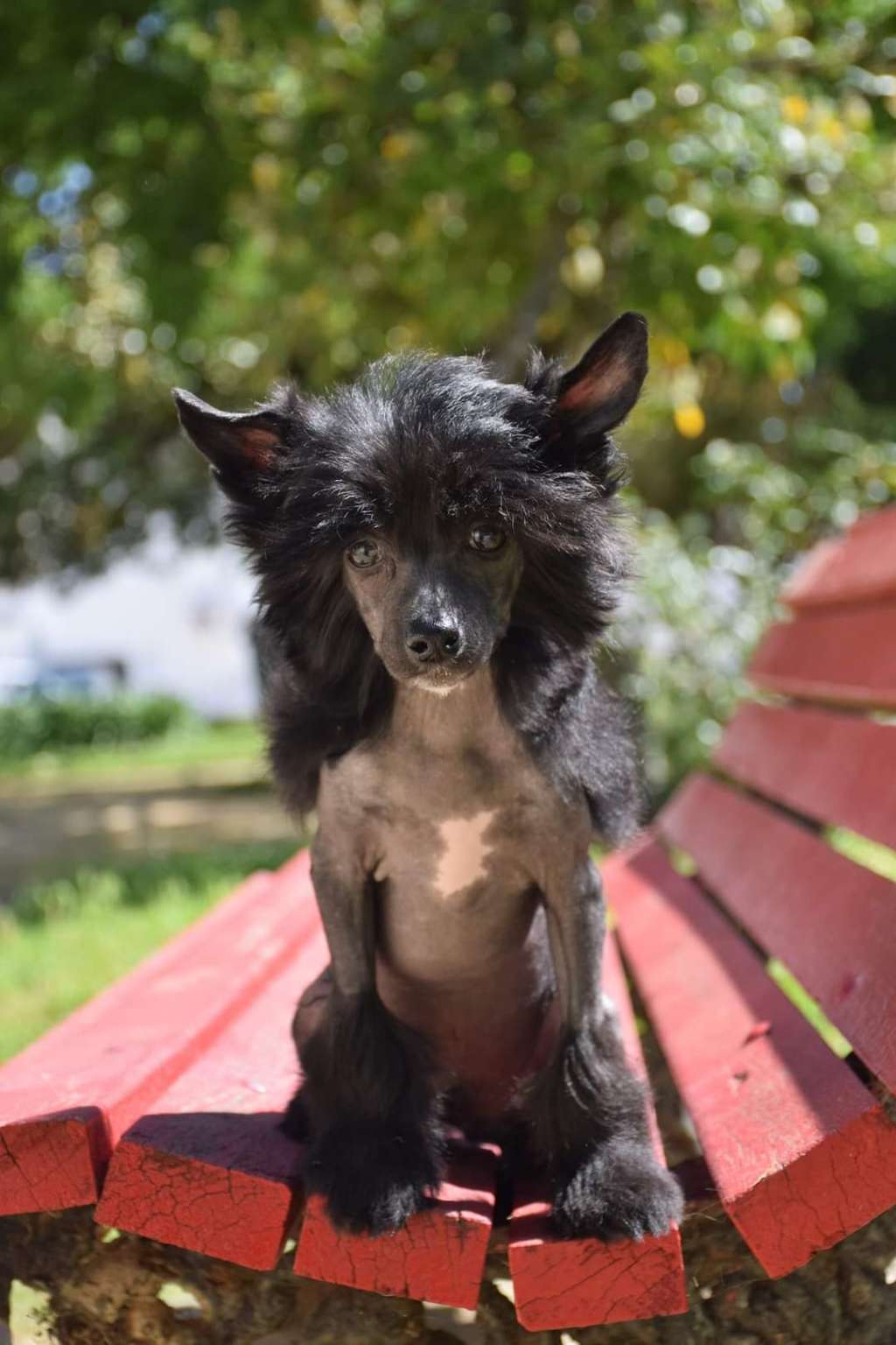 Dark Spirit de Lybóriu's Legacy