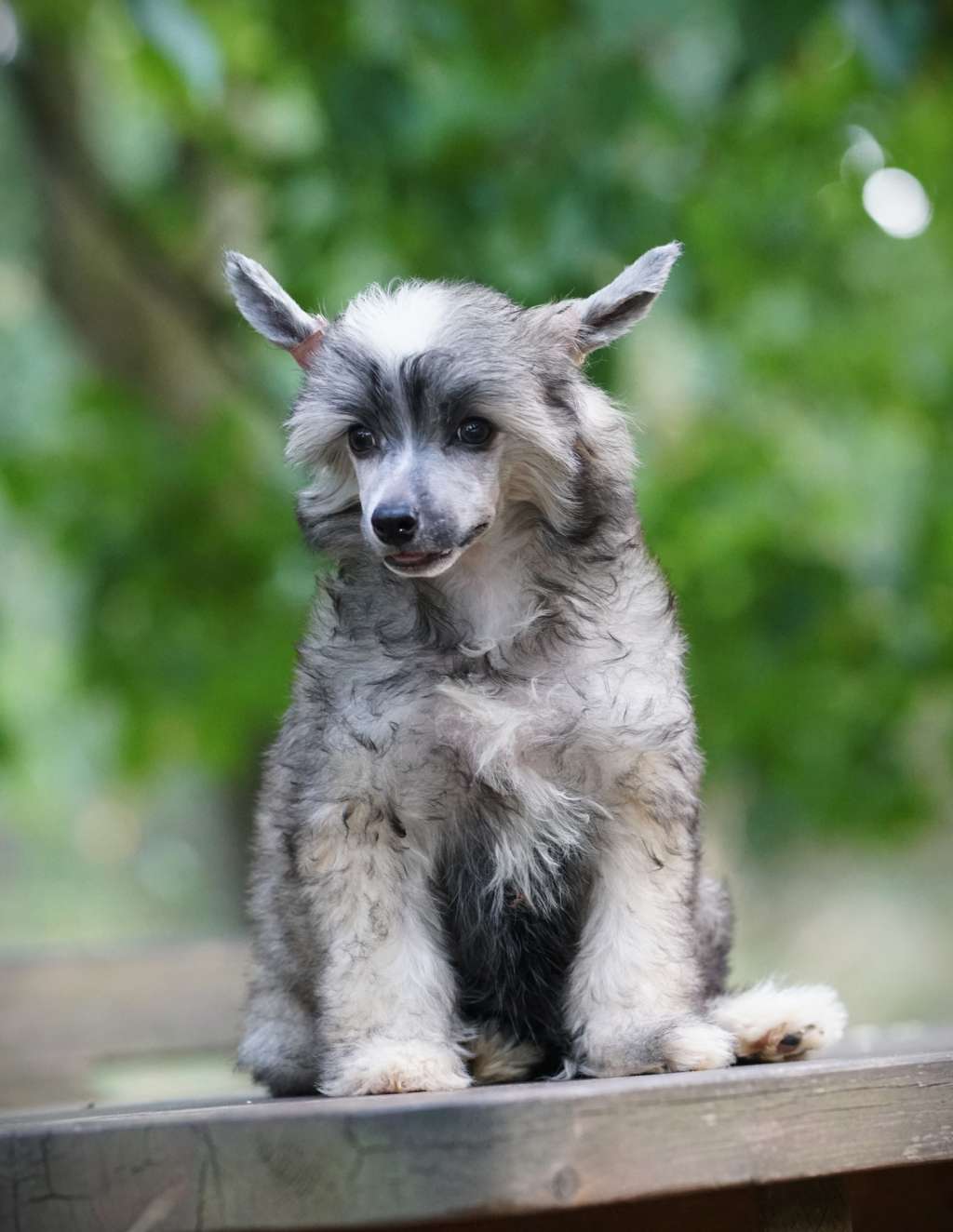 Young at Heart Heybett