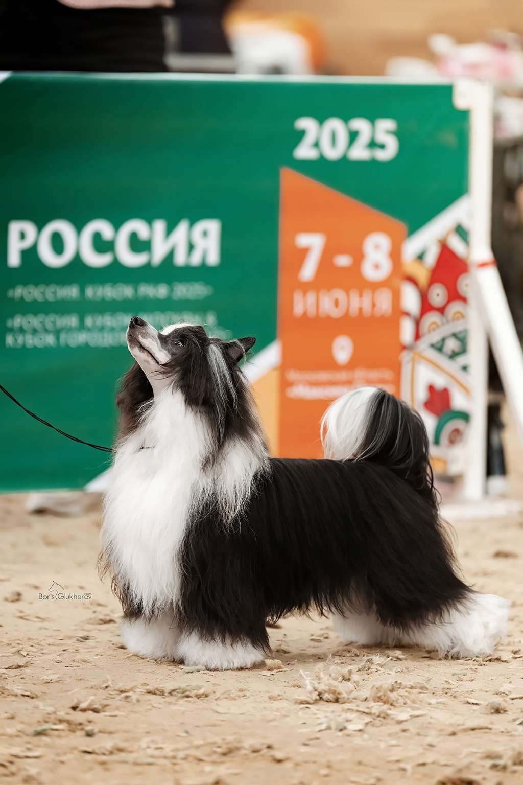 Sol'tanto Be-My-love