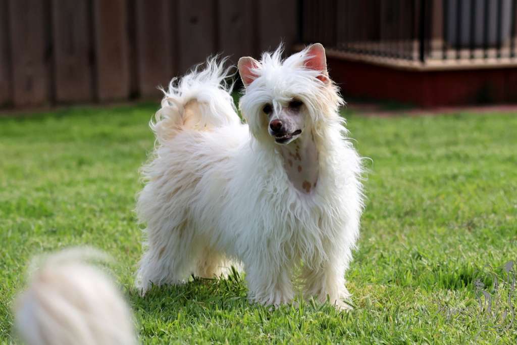 Olyuti's Never Stop Loving