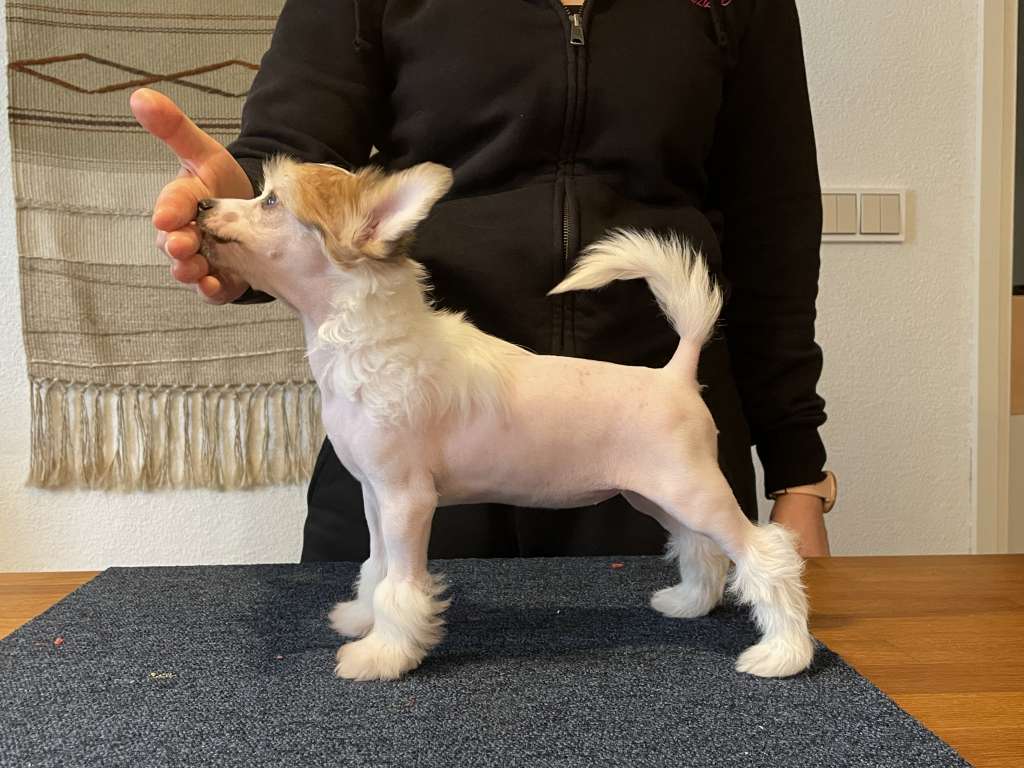 Maybell's Peony Vanilla Schnapps