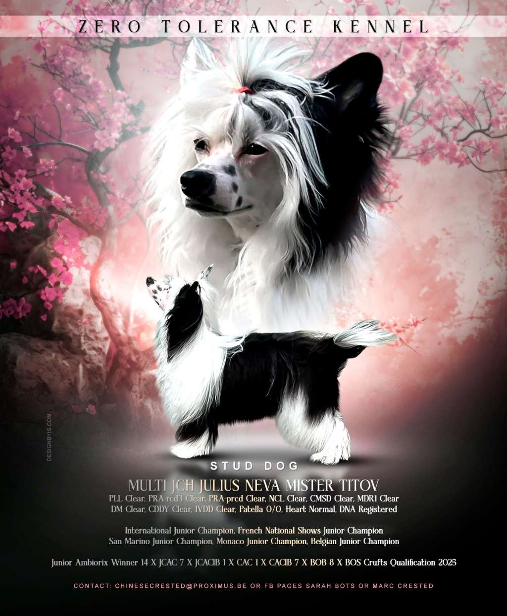 Ch. Multi JCh. Julius Neva Mister Titov