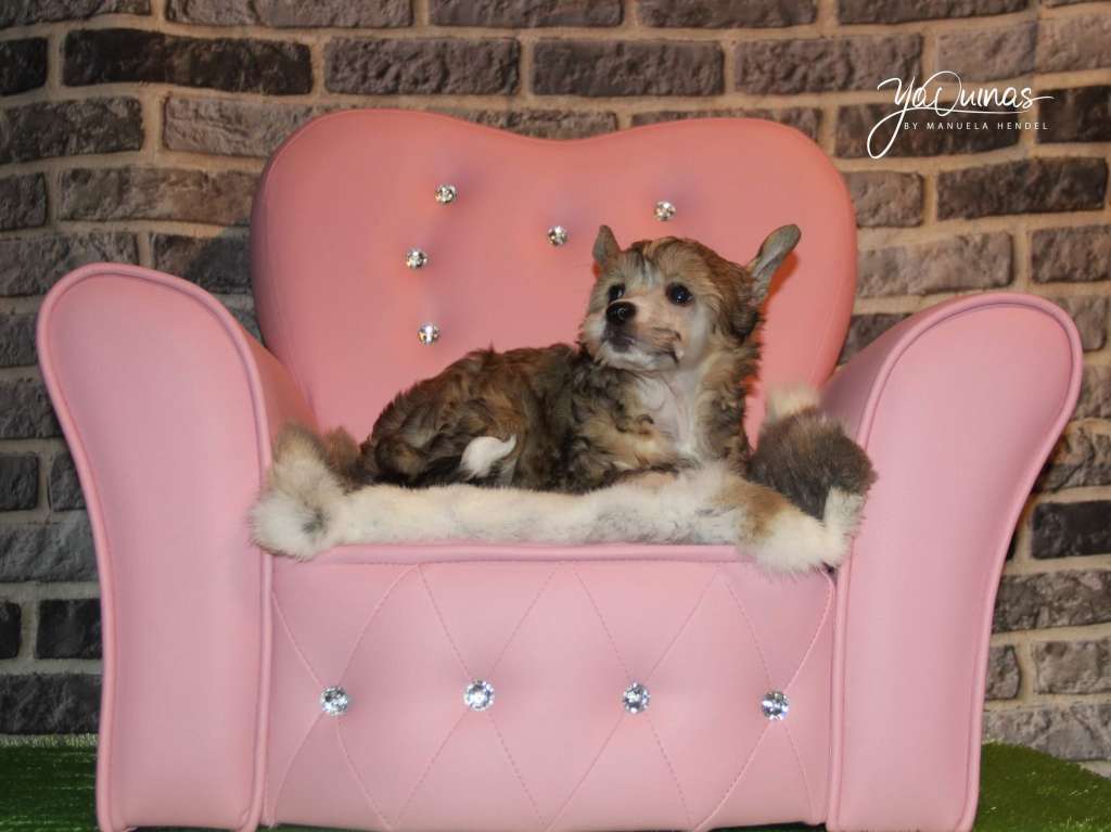 Yaquinas Keep Smiling