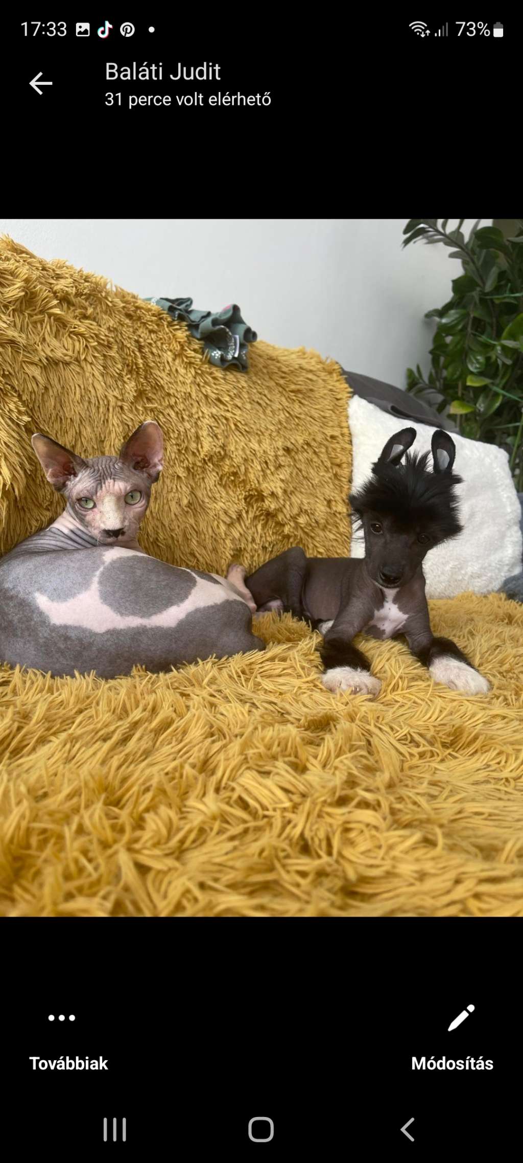 Unicorn Magic Bagira