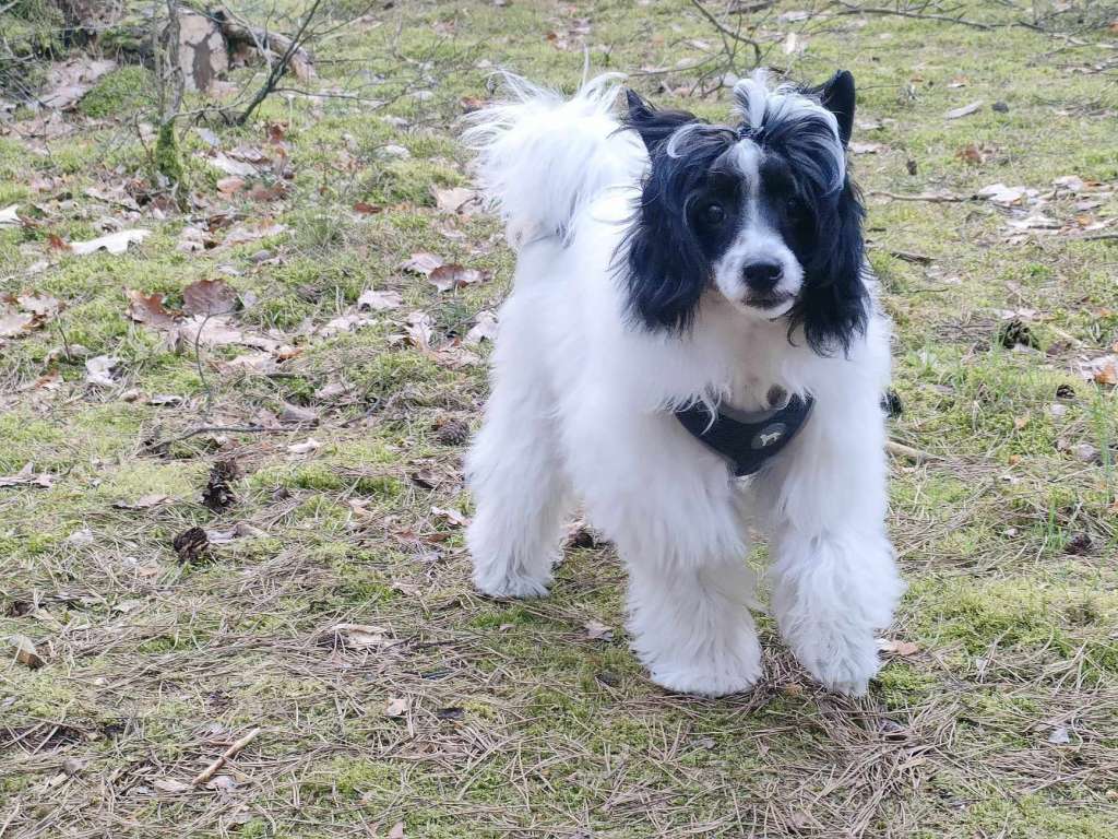 Acapulco The Only One Forever