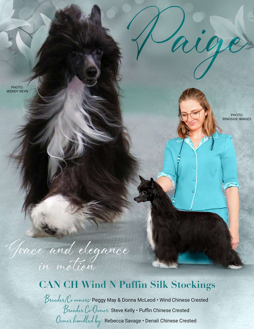 Wind N Puffin Silk Stockings