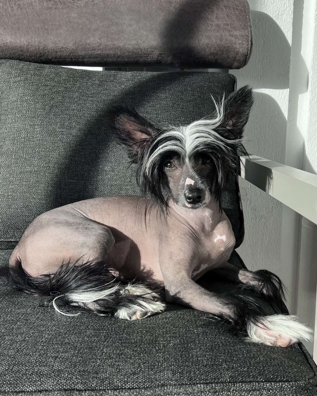 Charming Ms Möet by Naked Bubbles