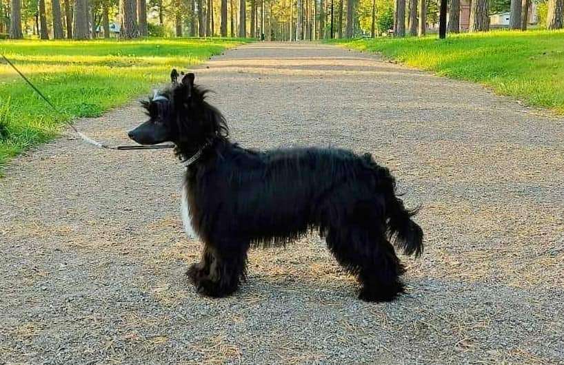 Malibu Modern Family