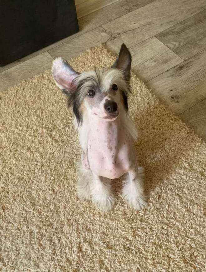 Rely On-Me Winning Smile