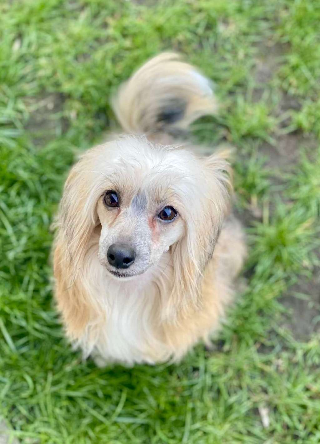 Luc Insolite Familier