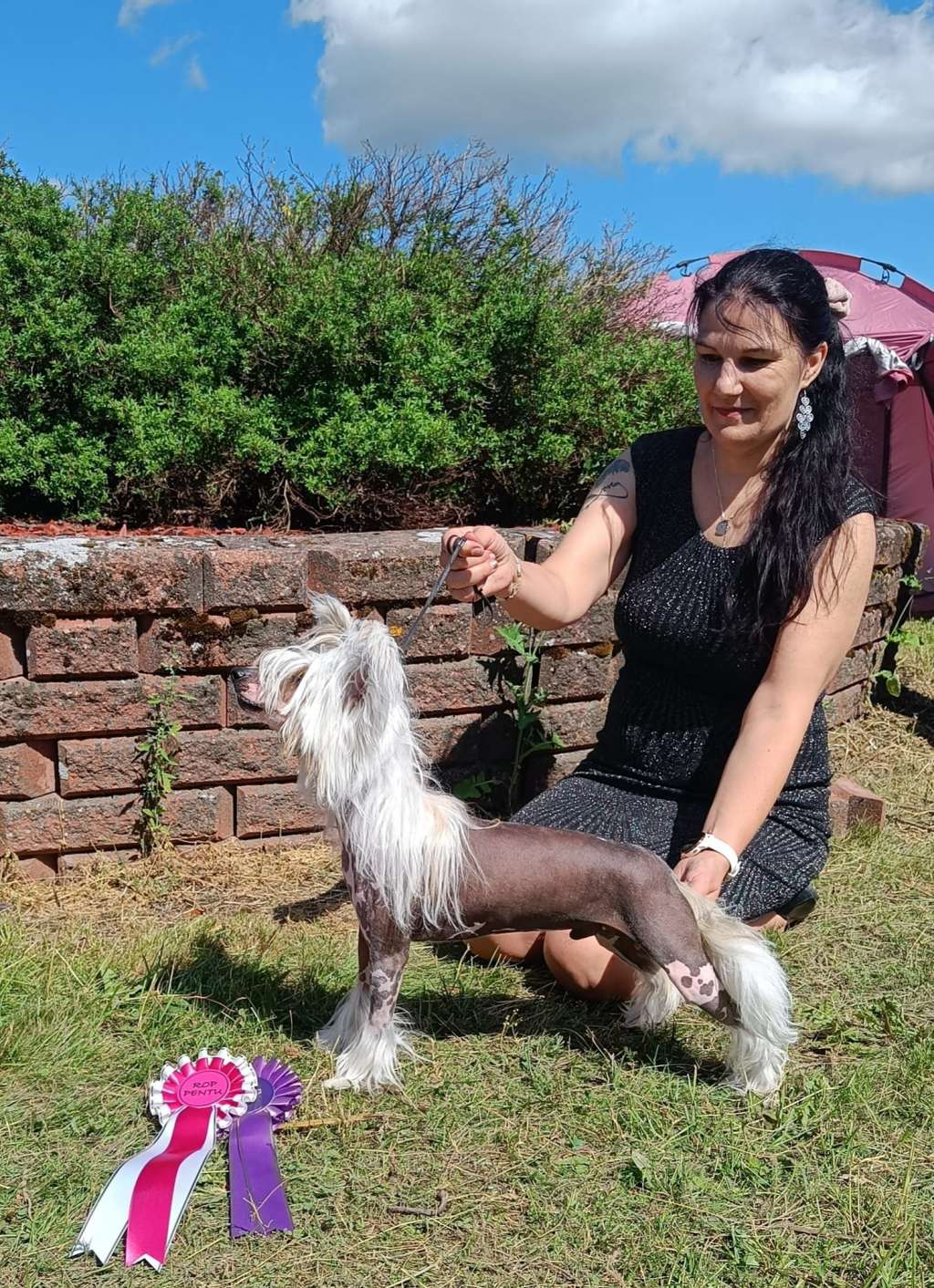 Joyway's I Shine Like A Star