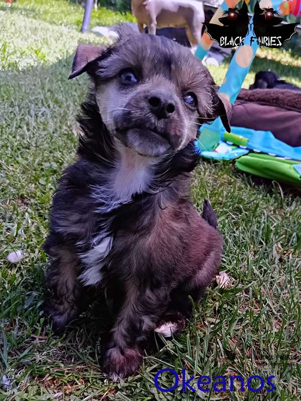 Oh my lovely Gaias last Heartbreaker Okeanos from 