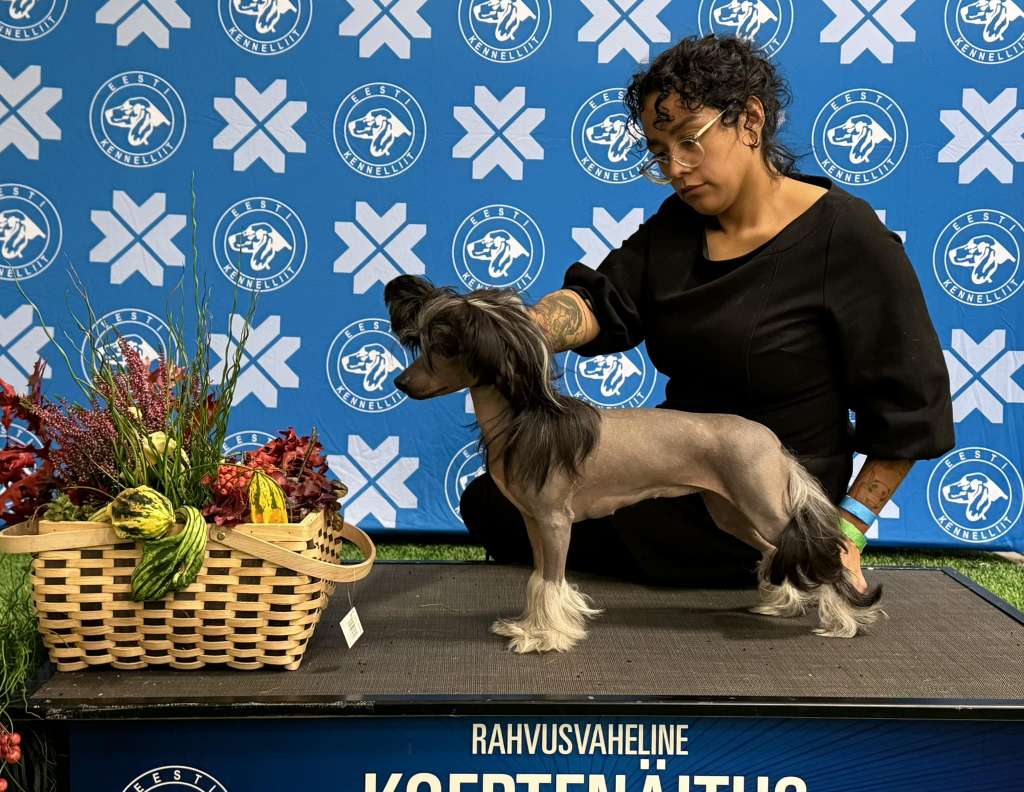 Jean Dark Glitter In The Air