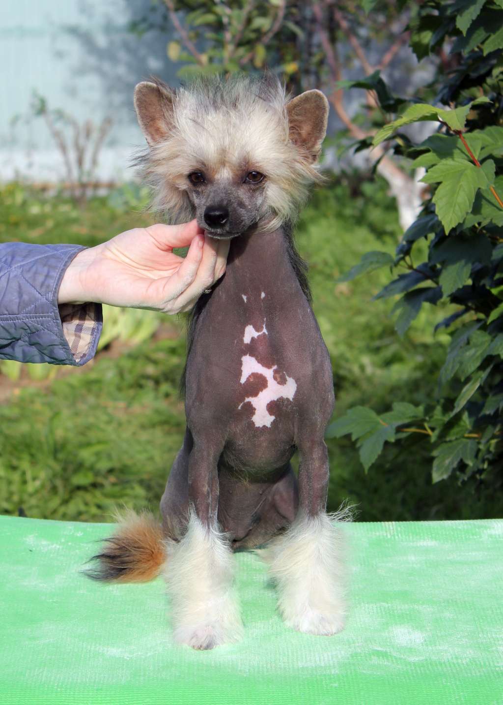 Via Della Seta Made In Heaven