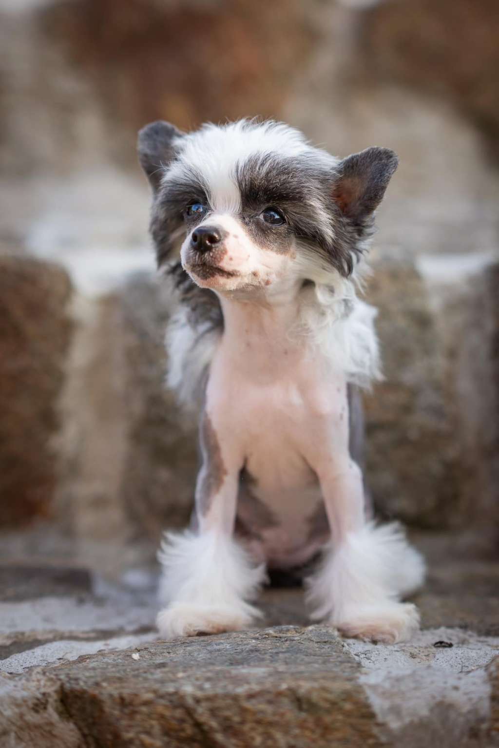 Ivy Kiwi Pretty Sweet