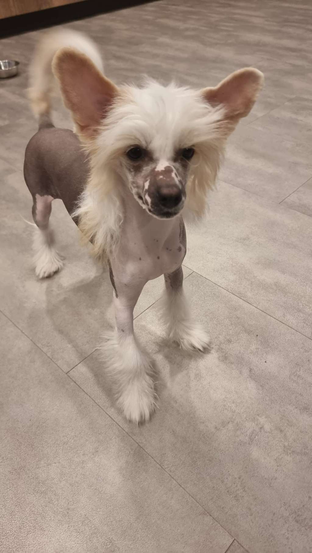 Armel-Karamel By Grakstuole