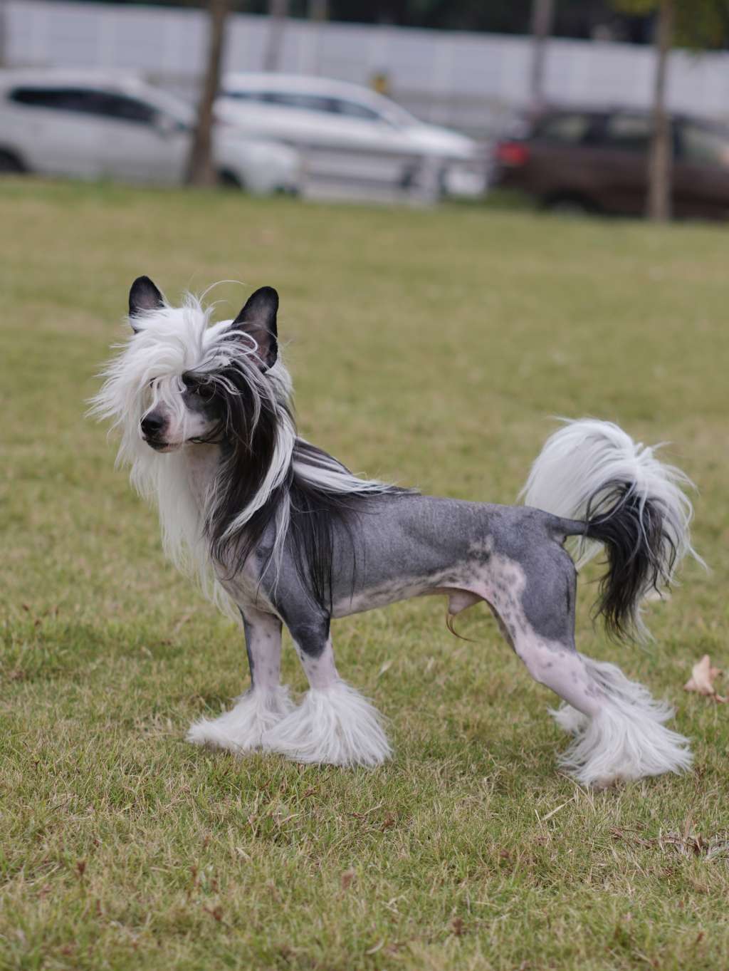 Sol'tanto Vacanze Romane