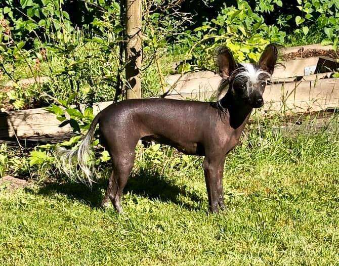 Fablernas omg born no I