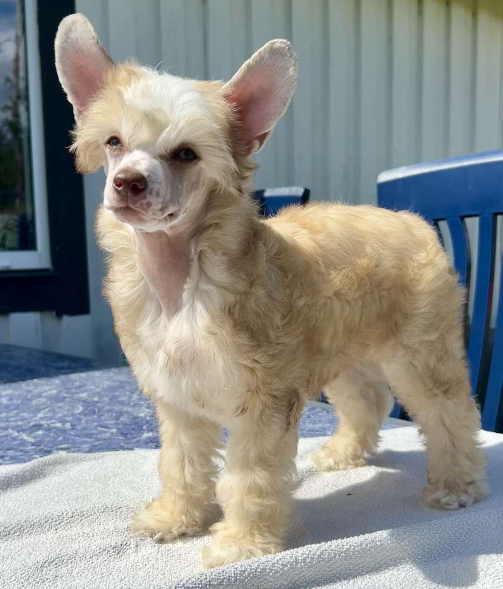 June So Fine Break Out