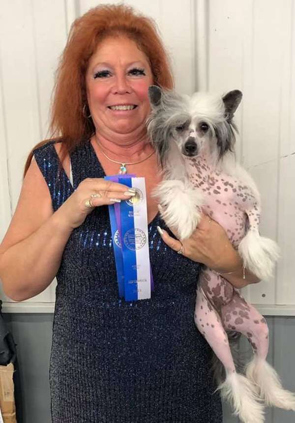 Edelweiss That's So Fetch