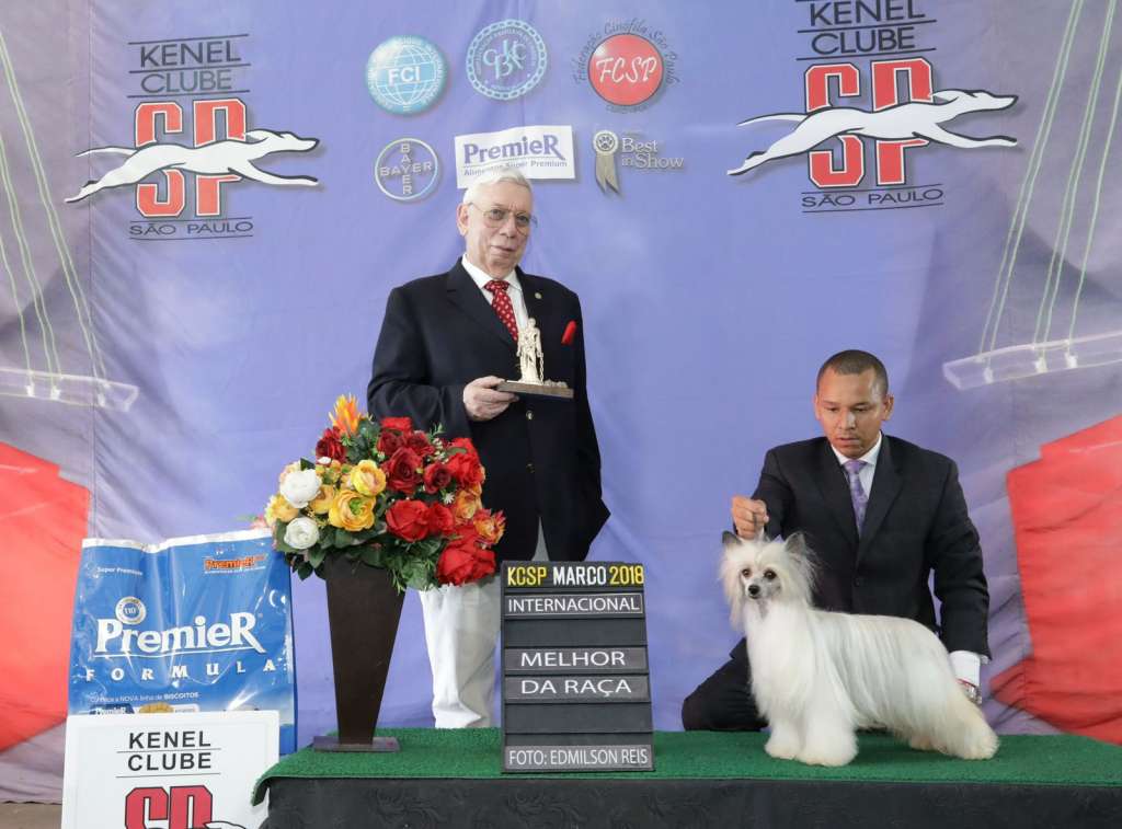 Mãe Kwan Yuri Chow Falklands Lella