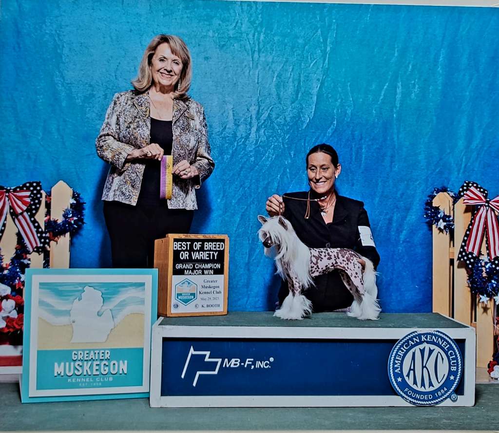 By Angel Wings I Will Survive