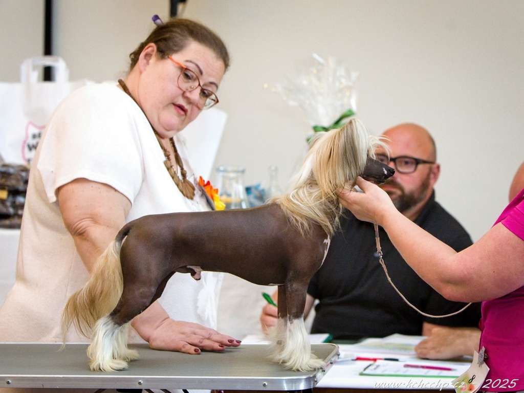 Denis z Jasne hvezdy