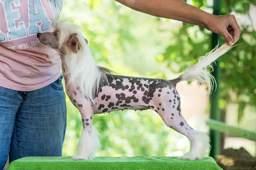 Fantastik Heritage Dneprovskoye Solntse