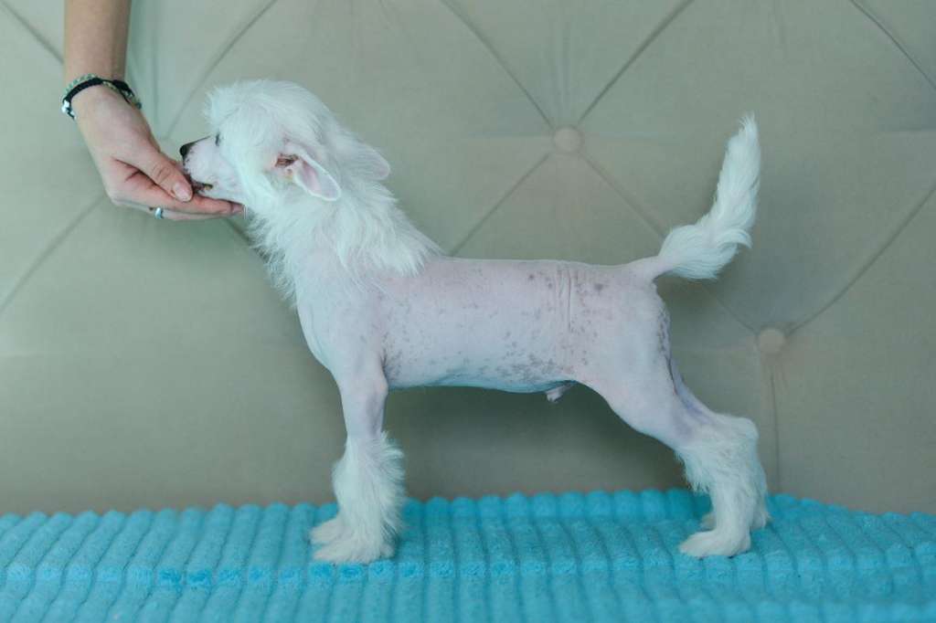 Incanto Del Mondo Justien