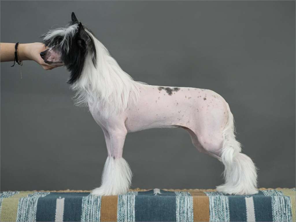 Incanto Del Mondo Jannele