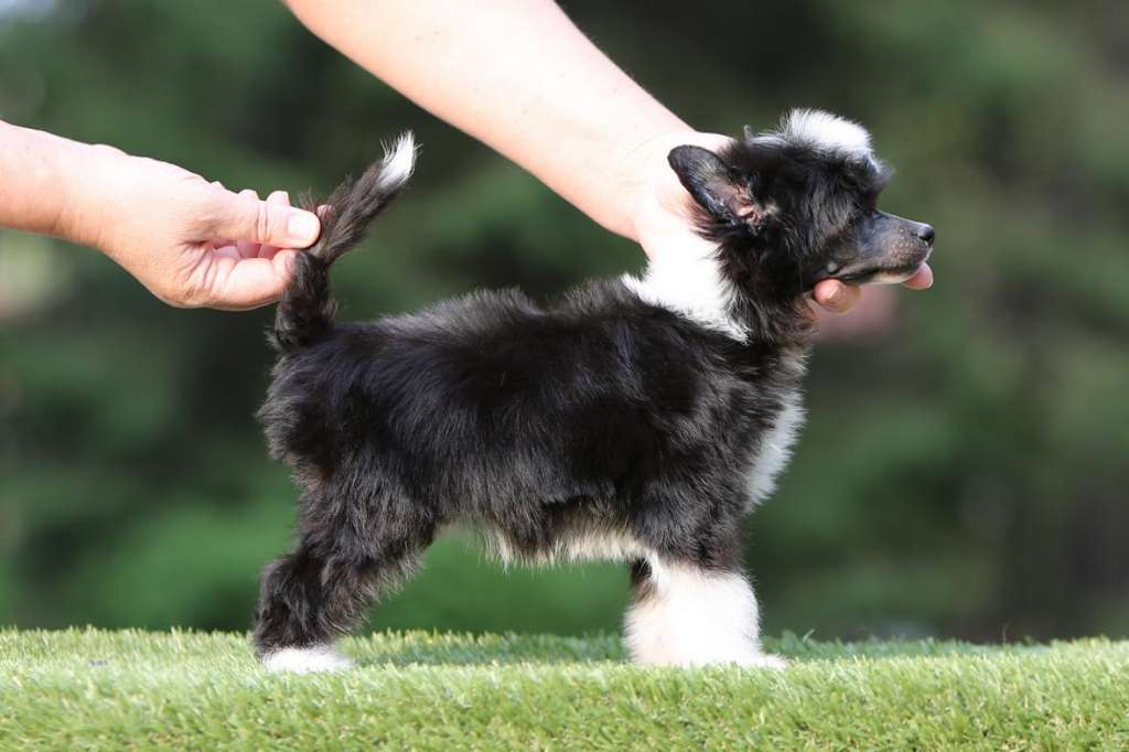 Incanto Del Mondo Bali Is My Dreamland