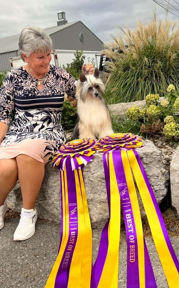 Kaylens Some Days You Gotta Dance