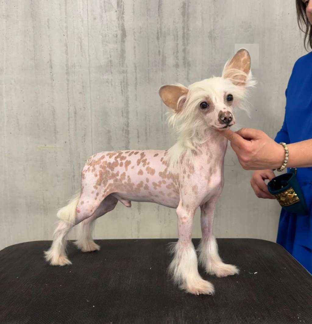 Blanch-O Kaylen Ariella Inside a Snowflake