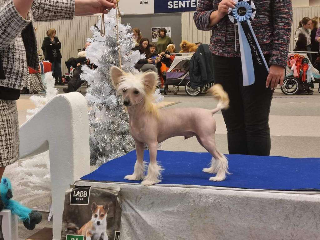 Moelmo's Hide Your Wife