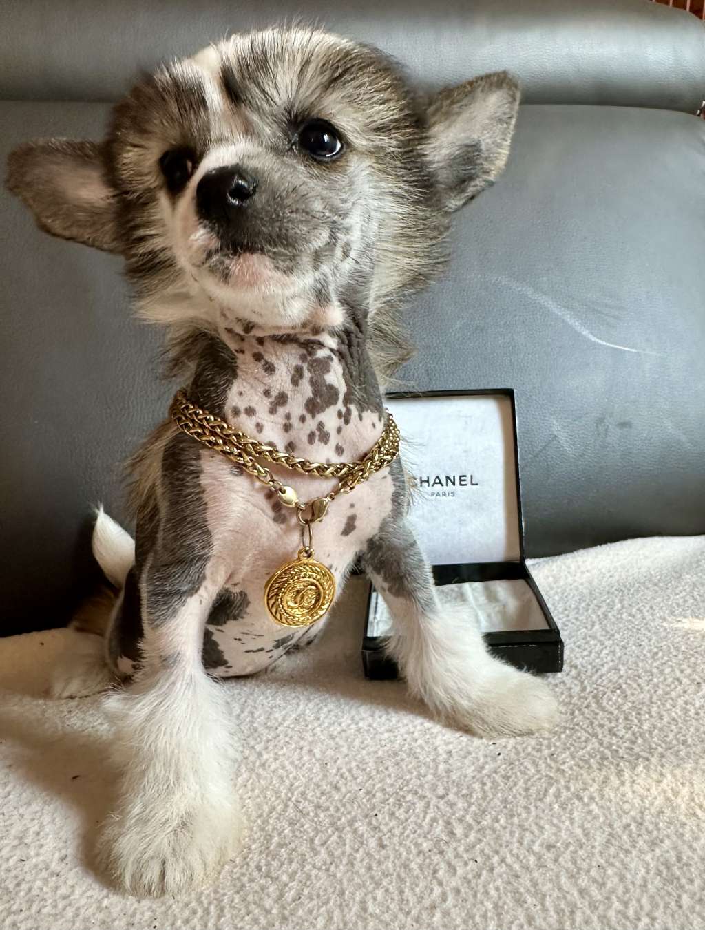 U Beauty von Shinbashi