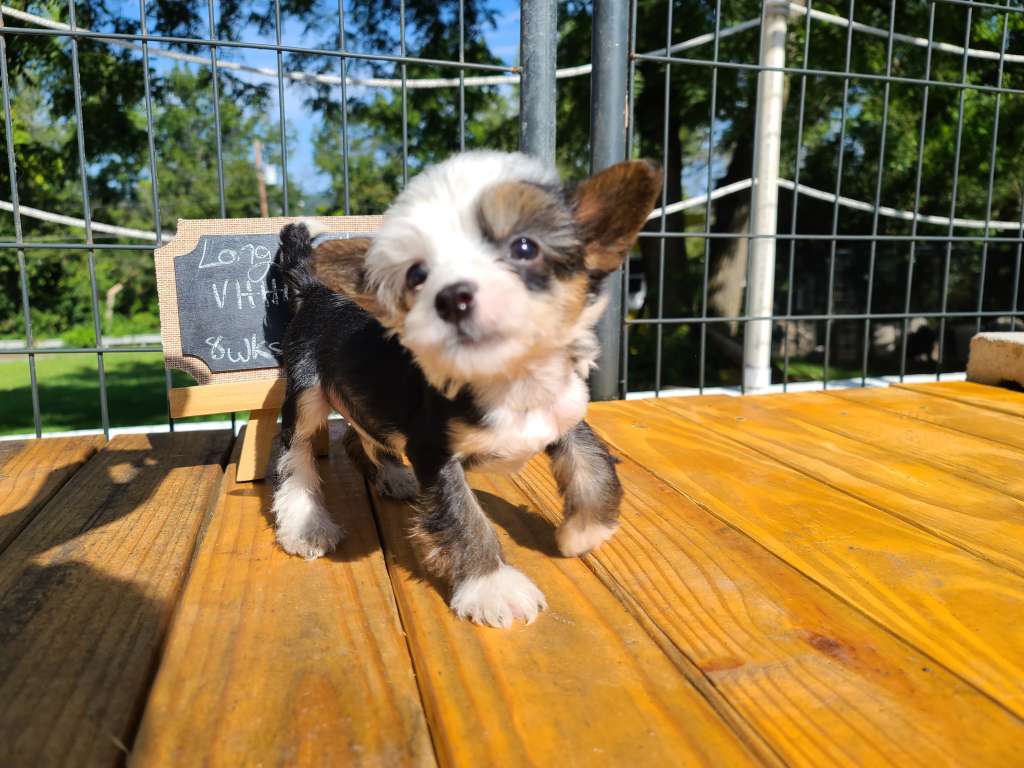 Long Haul's Data Is Just Q-Squared