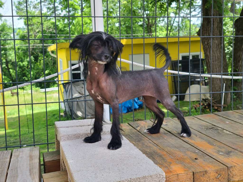 Long Haul's Talk Turkey To Me