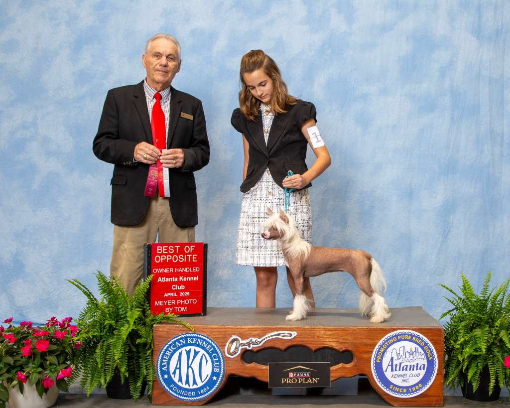 Blanch-O Kaylen Ariella's Never Fade Away