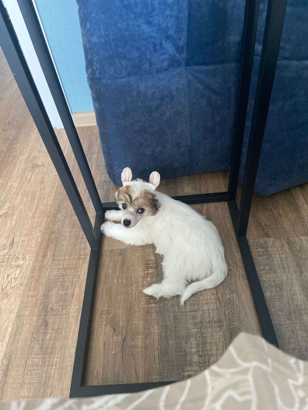 Kovimoti Santa Lucia