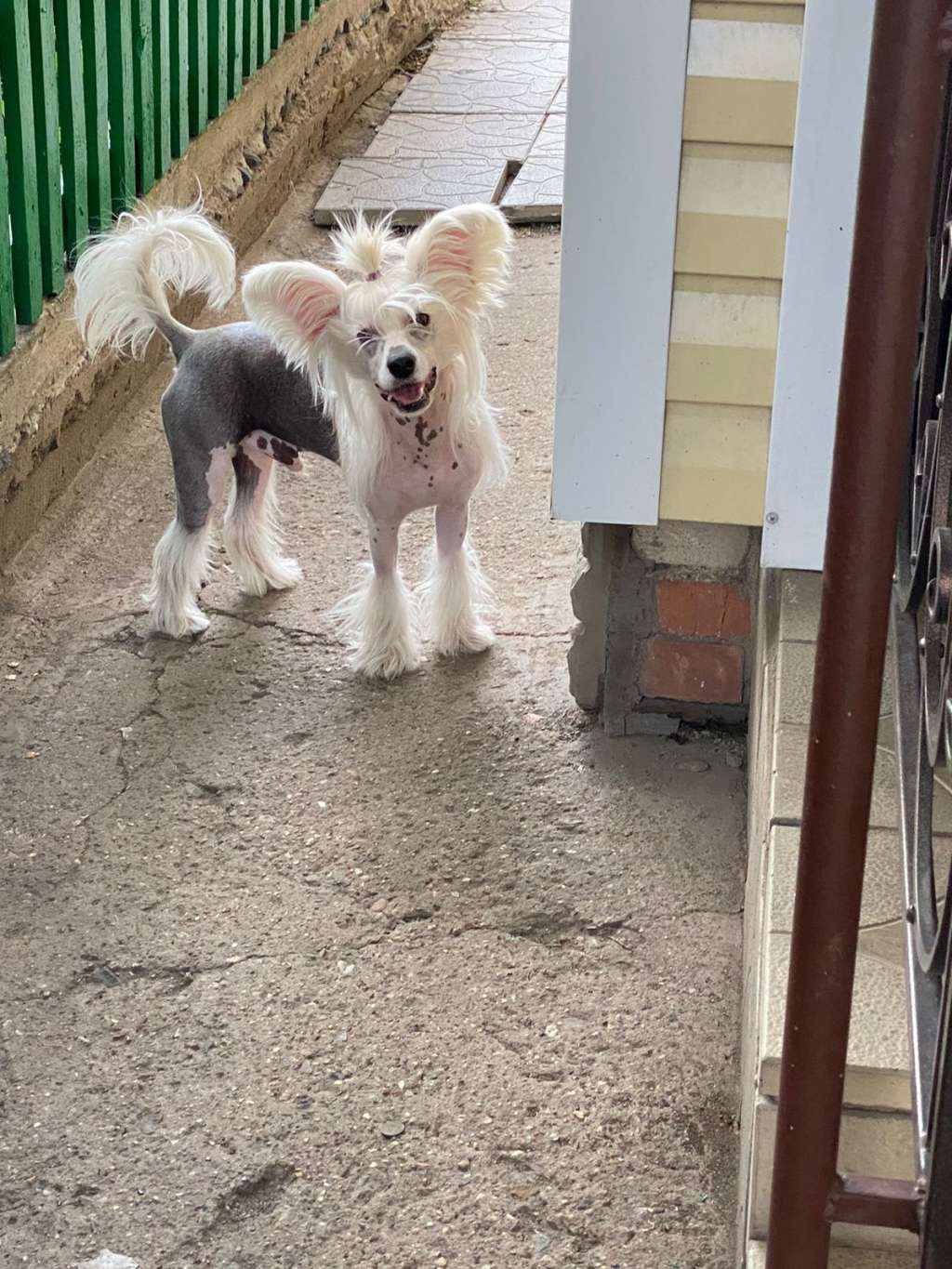 Kovimoti Michigan Great River