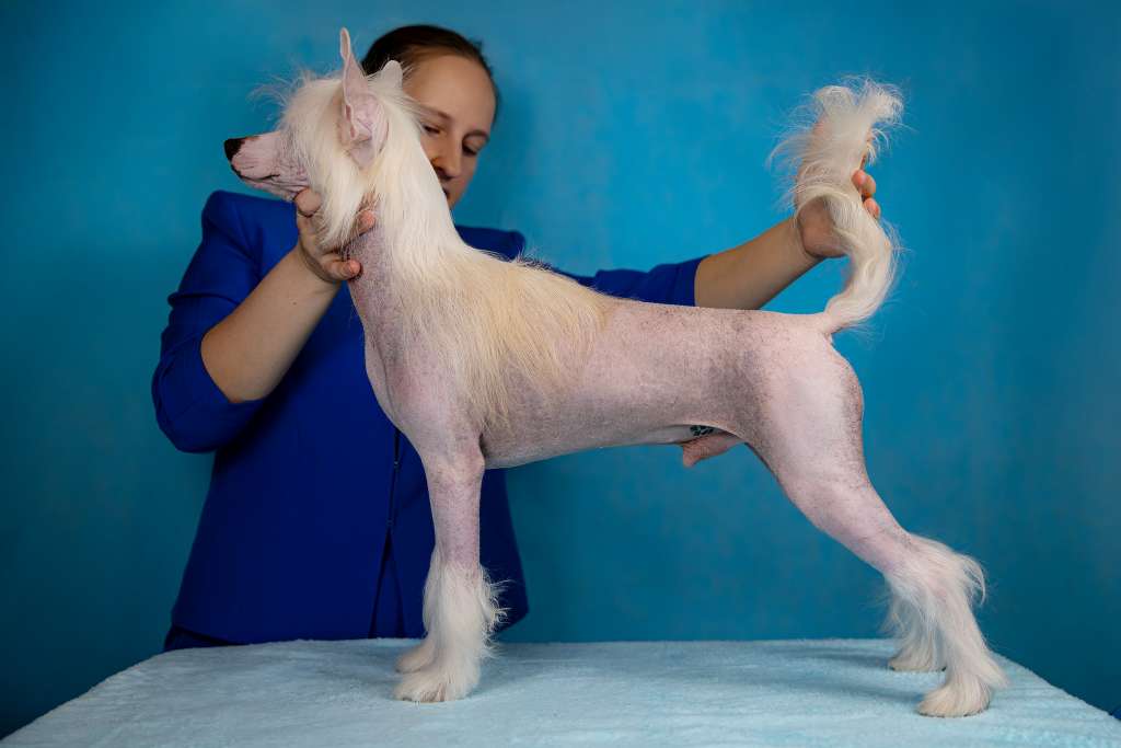 Grand Passage Zangar