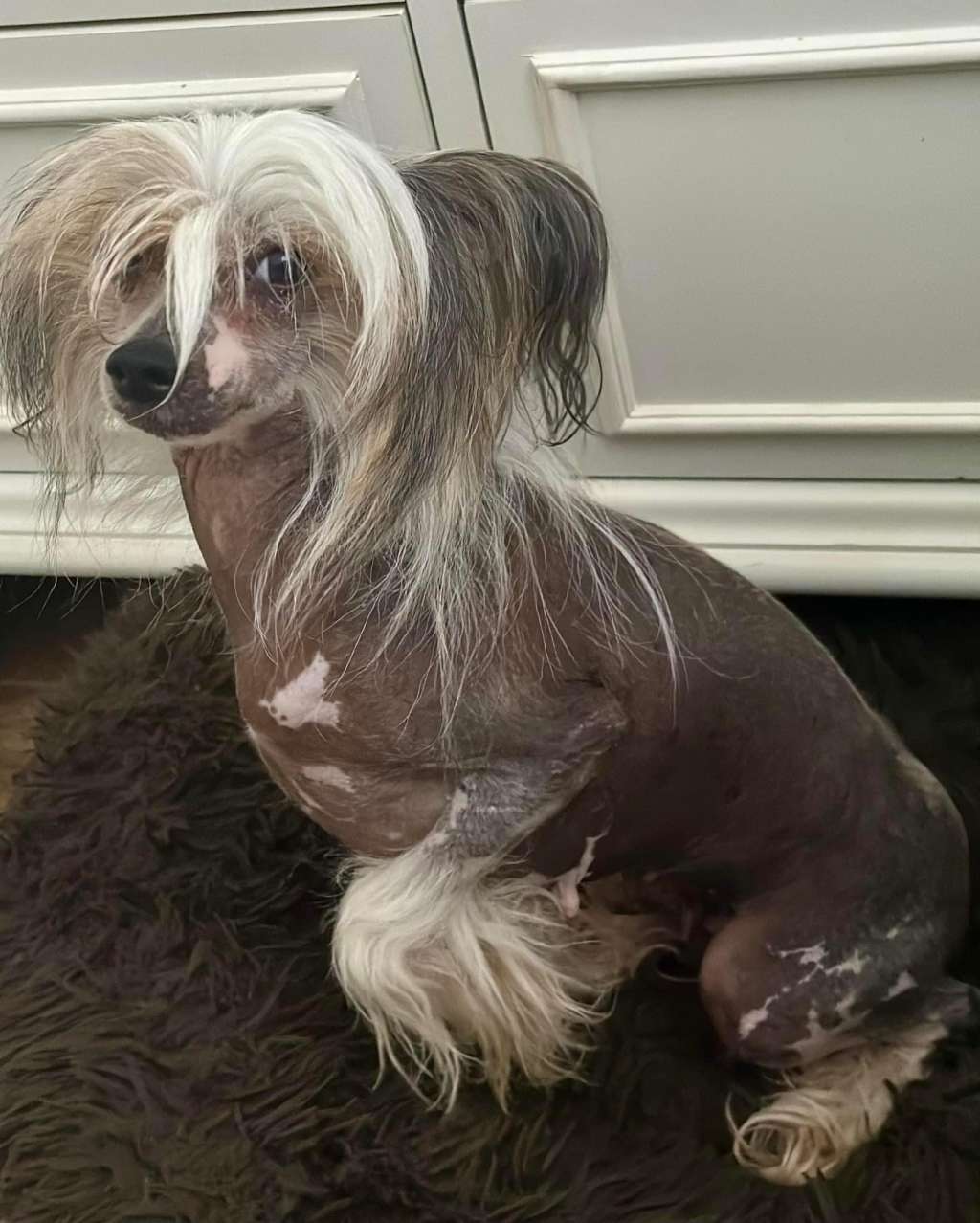 Cosmic's Born on the  Fourth of July