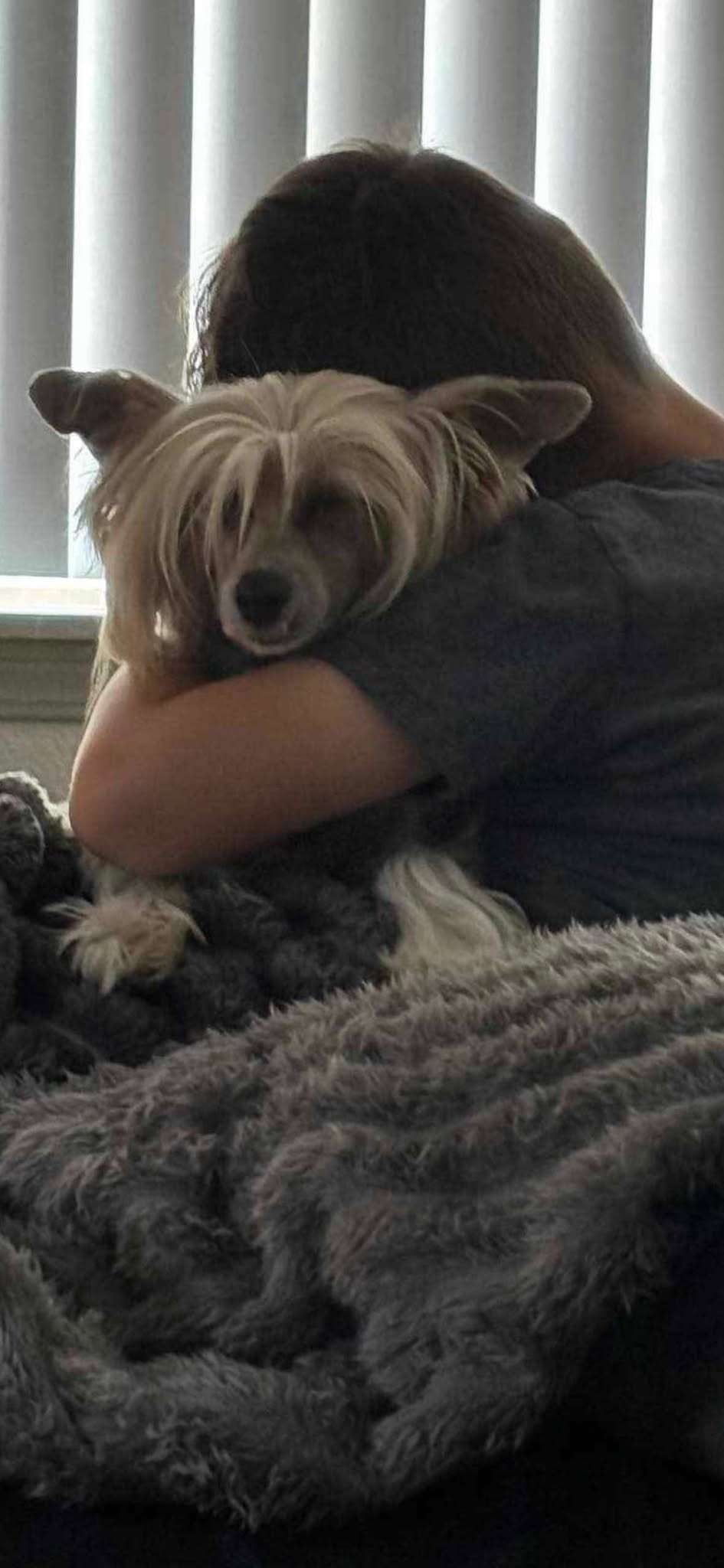 UKC CH. Evercrest's Let the Embers Burn