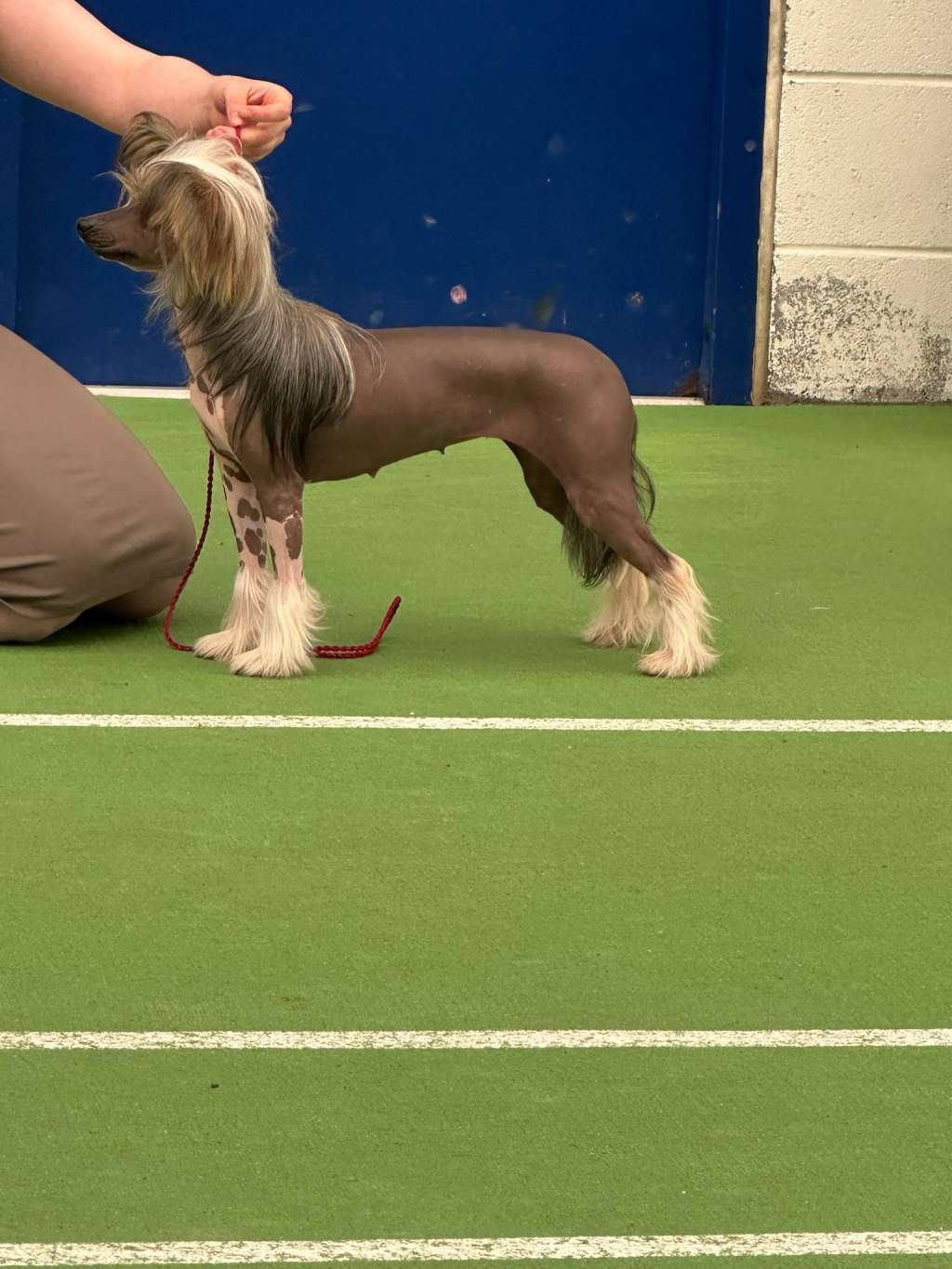 Bryelis Talking Bout My Girl JW