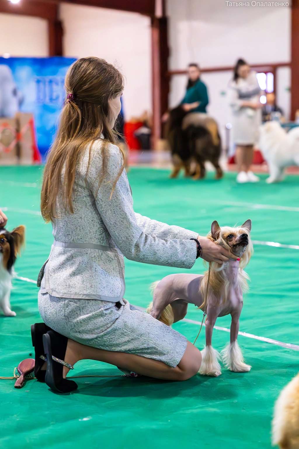 Elance Louange Alba la Romen