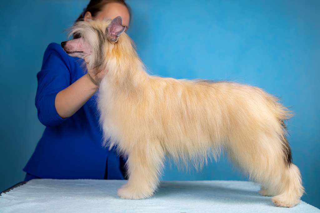 Grand Passage Zandan