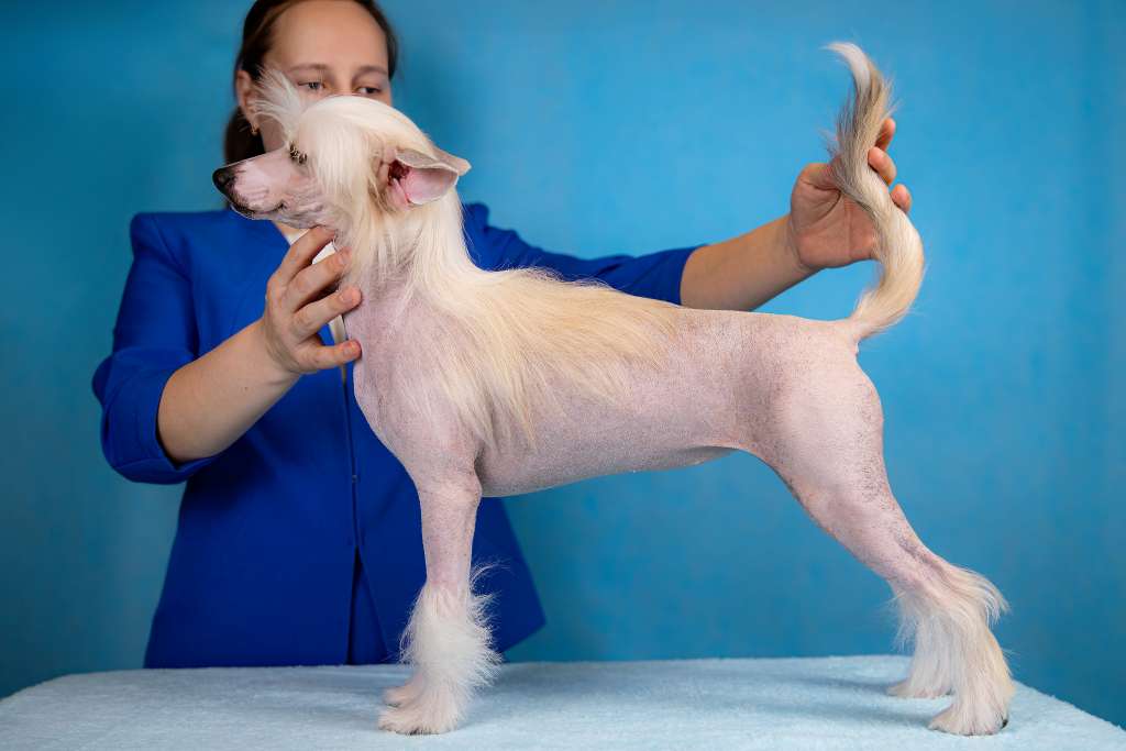 Grand Passage Zalina