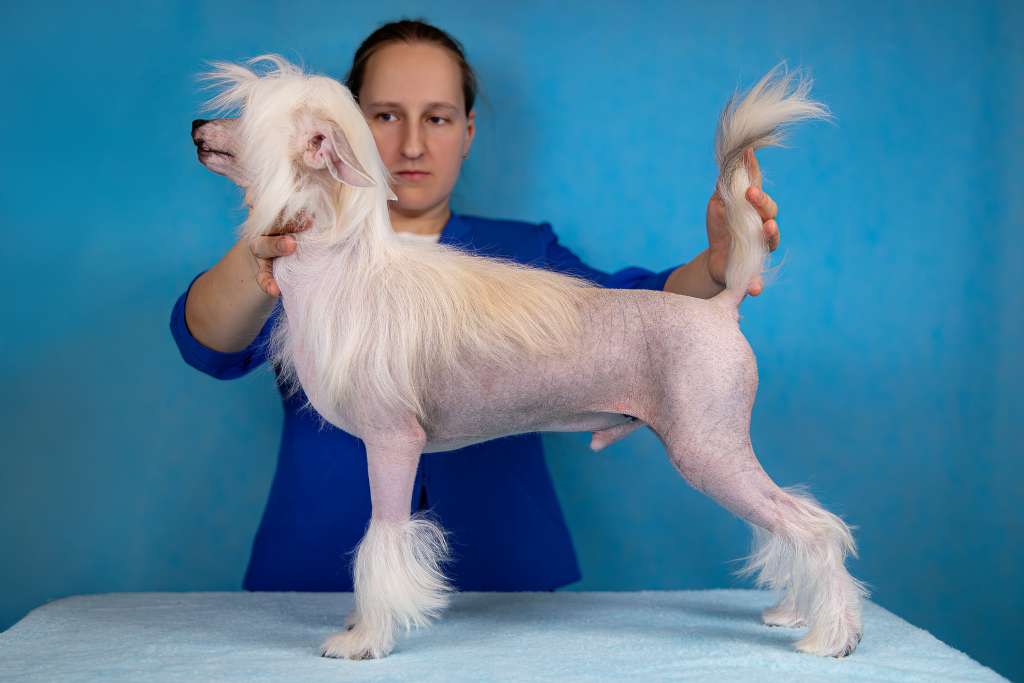 Grand Passage Zoltan