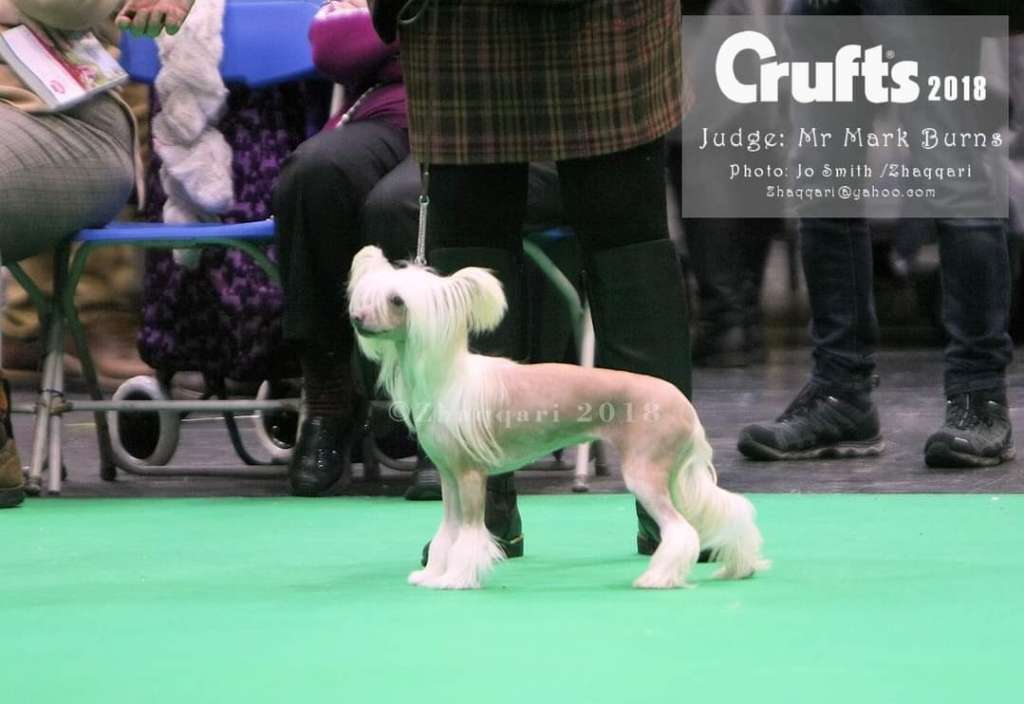 Bryelis Belle'O The Ball