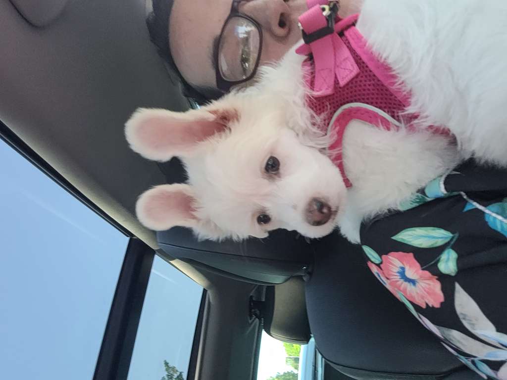 Xamalia Sweet Love of Mine